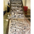 เครื่องปลาซาร์ดีนเครื่องแปรรูปปลาโรงงานผลิตกระป๋องปลา